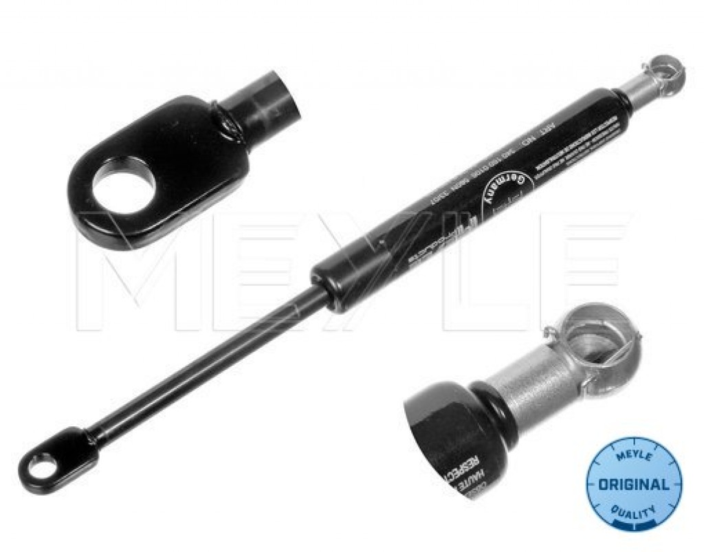 Rear Window Shock Strut E39 Touring